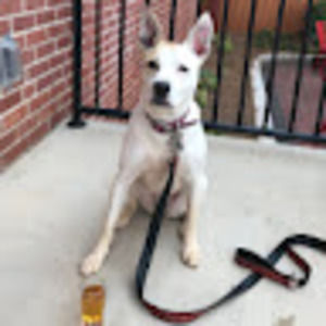 Meet your Posher, Sara